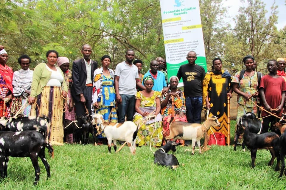 41 PeacEdu Initiative Rwanda's beneficiaries were given domestic animals